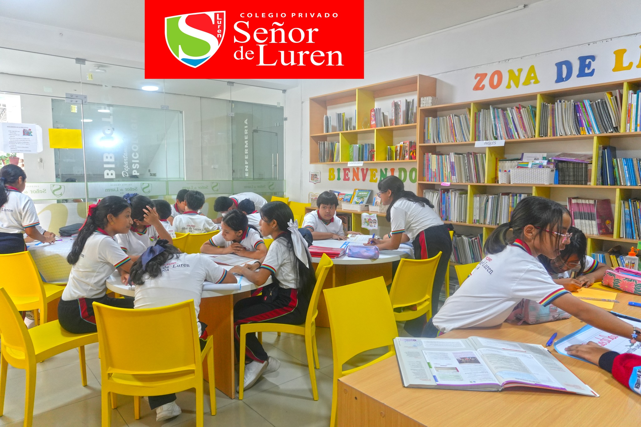 Biblioteca y zona de lectura